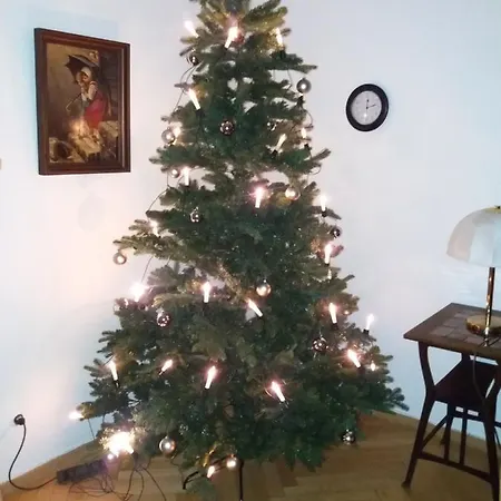 Guest house Cecilie 3*